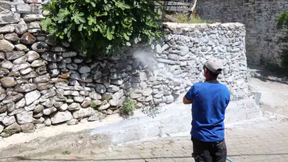 Bozdoğan’da sinek ve haşereyle doğal mücadele: Kireçleme seferberliği başladı