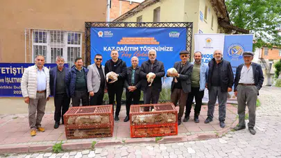 Samsun'da kırsal kalkınma hamlesi: Kaz yetiştiriciliğine büyük destek