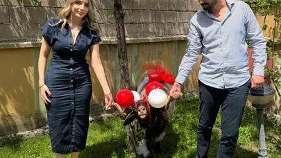 Erzurum’da bayram heyecanı: Gelin evine giden süslü koçlar sokakları şenlendiriyor