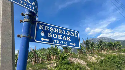 Çöp konteynerinde vicdan sızlatan manzara: Temizlik işçileri minik dostlarını ölümden döndürdü