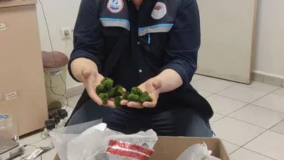 Kapıkule’de sıra dışı kaçakçılık: 8,5 kilogramlık yeşil alg operasyonu