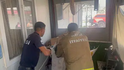 Sıcaklar bastırdı, yılanlar mesaiye başladı: Evine giren davetsiz misafir korku dolu anlar yaşattı