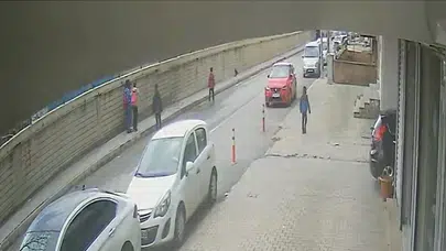 İyilikleri kursaklarında kaldı: Minik kuşu kurtarmak isterken karganın avı oldular