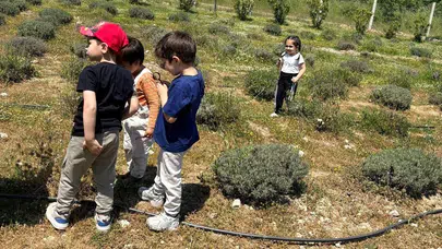 Sınıfın dışına taşan eğitim: Minikler Ortaköy’ün yeşilinde buluştu