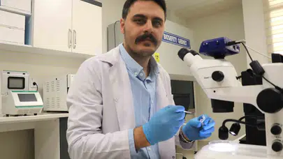 Kene paniğine bilimsel yanıt: "Dışarıdan getirilmedi, doğanın bir parçası"
