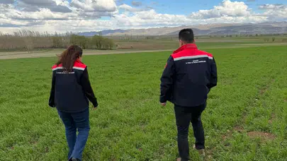 Hasat öncesi kritik mesai: Aydıntepe’de tarlalar mercek altına alındı
