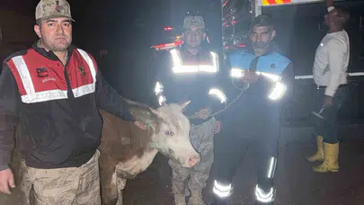 Siverek’te nefes kesen takip: 40 saatlik kamera kaydı hırsızları ele verdi