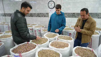 Savaşın gölgesi Antep fıstığına düştü: Depolar doldu, ihracat durma noktasına geldi