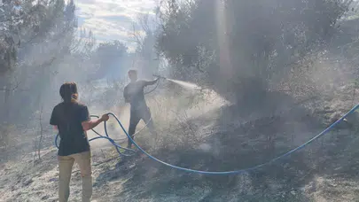 Alevler evlerin kapısına dayandı: Antalya'da korku dolu anlar