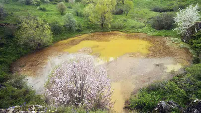 Timsah gözü artık bulanık: Sivas’ın doğa harikası Dipsizgöl’de esrarengiz değişim