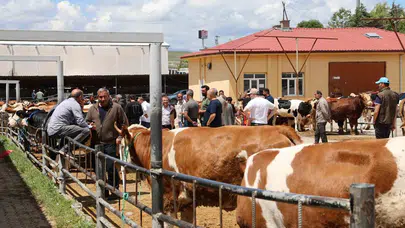 Kurban pazarlığında son dakika telaşı: Elazığ’da arife günü mesaisi