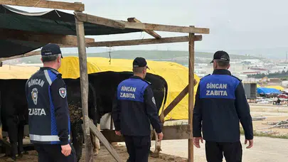 Sincan’da bayram hazırlığı: Kurban pazarlarında denetim mesaisi başladı