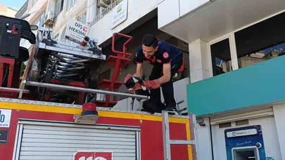 Dostlukta sınır tanımadı: Mahsur kalan arkadaşını kurtarana kadar başından ayrılmadı