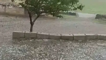 Siverek’te gökyüzü kabusa döndü: Tarım arazileri beyaz örtüyle kaplandı
