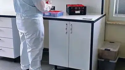 Sinop ormanlarının "terminatör" koruyucuları göreve başladı: 12 binden fazla böcek doğaya salındı