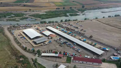 Erbaa’da hayvancılık sektörü nefes aldı: Pazar kapılarını yeniden açıyor