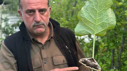 Erzurum'un Oltu ilçesinde bahar sürprizi: Binlerce kilometre uzaktaki misafir şaşırttı
