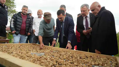 Topraktan fışkıran servet: Kilosu 12 bin lirayı buldu, üreticinin yüzü gülüyor