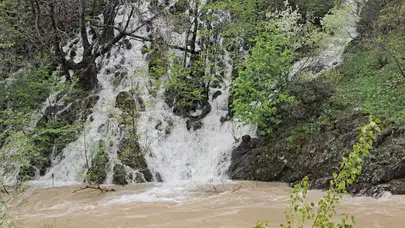 Tunceli’de bahar bereketi: Karlar eridi, Munzur’un yamaçları şelalelere teslim oldu