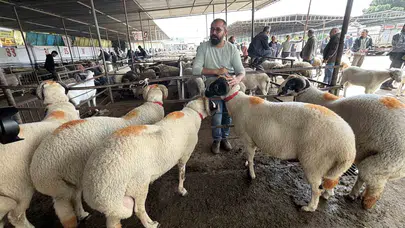 Damat adaylarının zorlu sınavı: Havran pazarında gelinlik koç telaşı