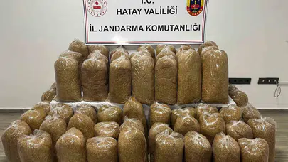 Hatay’da suç örgütlerine geçit yok: Bir ayda 71 gözaltı