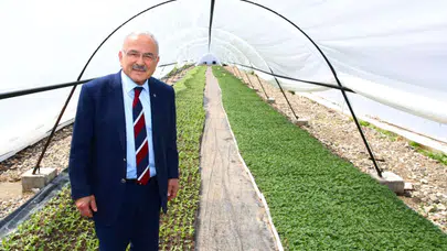 Dışa bağımlılığa son veren hamle: Ordu artık kendi çiçeklerini üretiyor