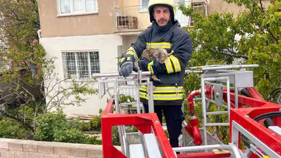 Erzincan’da yürekleri ağza getiren kurtarma operasyonu: Çatıda mahsur kalan minik dostumuz sağlığına kavuştu