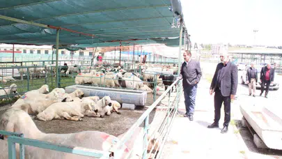 Malatya’da Hayvan Pazarı krizi: 40 bin liralık kira bedeli üreticiyi şehirden kaçırdı