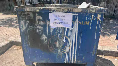 Buca'da vicdanları sızlatan manzara: 33 kedi ölüsü bulundu, veteriner hekim gözaltında