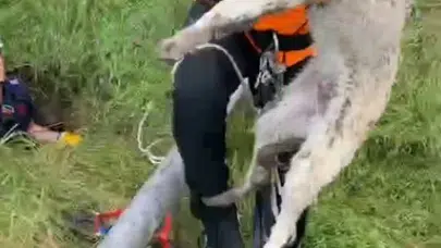 Ölüm çukurundan gelen umut dolu haber: İtfaiye ekipleri iki canı birden kurtardı