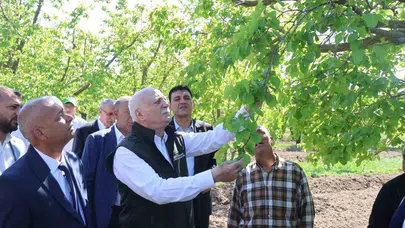 Iğdır’da tarımın kalbine darbe: Don ve dolu üreticiyi vurdu, gözler Ankara’ya çevrildi