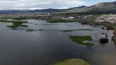 Ardahan’da bahar kabusu: Kura Nehri taştı, ovalar göle döndü