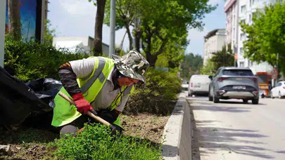 Bilecik’te çiçekler açıyor: Belediye ekipleri şehri yaza hazırlıyor