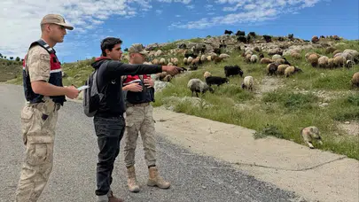 Kurban Bayramı bereketi hırsızların iştahını kabartmasın: Sason’da jandarmadan kritik önlem