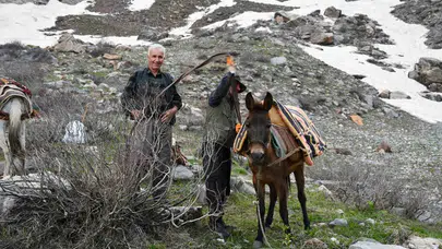 Zirvede şifa arayışı: 3 bin rakımda ekmek parası mesaisi