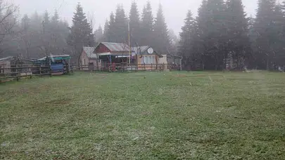 Baharı beklerken kış geri döndü: Mayıs ayının ilk gününde yaylaya lapa lapa kar yağdı