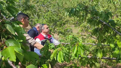 Aydın’da afet sonrası seferberlik: Çiftçinin yaraları sarılıyor