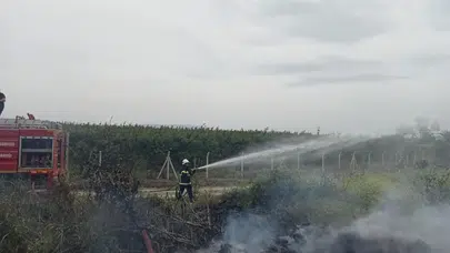 Hassa'da korkutan alevler: Zeytinlikler küle dönmekten son anda kurtuldu