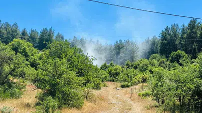 Menteşe’de korkutan dumanlar: Ekipler alevlere geçit vermedi