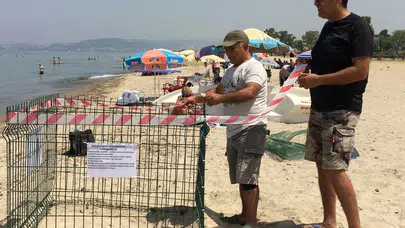 Ege’nin yeni misafirleri rekor kırdı: Caretta carettalar rotayı Aydın’a çevirdi