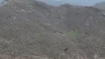 Şırnak semalarında nefes kesen anlar: Kartalın avını kaptığı o saniyeler kamerada