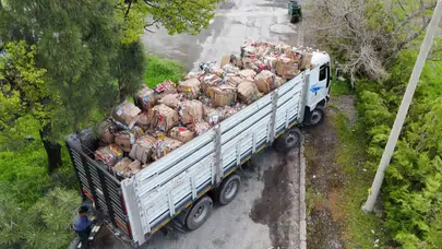 Doğa dostu kampüs: 1200 ağacı kurtaran dev geri dönüşüm hamlesi