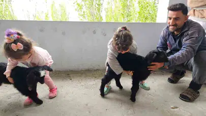 Gök gürültüsünden kaçıp 3. kata çıktılar: Balkonda beklenmedik misafirler