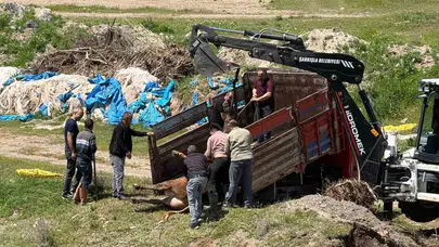 Kurbanlık tosunun özgürlük kaçamağı: Mezbahadan firar etti, nehirde yakayı ele verdi