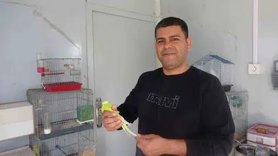 13 yaşında başlayan tutku: Hayatını kanatlı dostlarına adadı