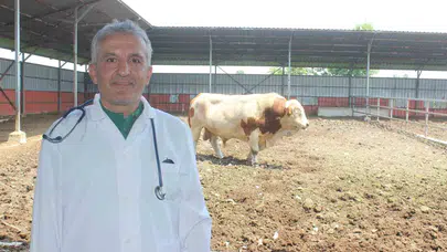 Kurban Bayramı'nda et kalitesini artırmanın yolu: Uzmanından kritik uyarılar