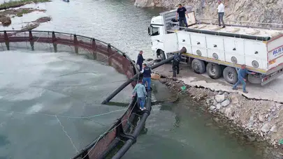 Dünya sofralarının gözdesi Türk somonu için geri sayım başladı: Adıyaman’da dev hasat mesaisi