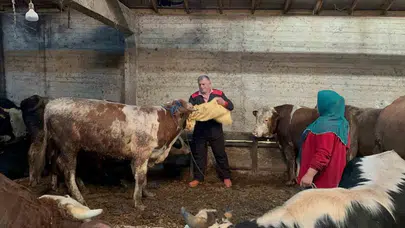Kurban pazarlarında bayram mesaisi: Vatandaşlar ortaklı kesime yöneldi