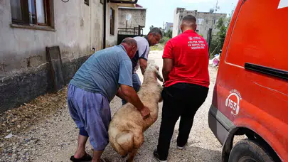 Tarsus’ta bayram öncesi anlamlı seferberlik: 92 aileye kurban desteği