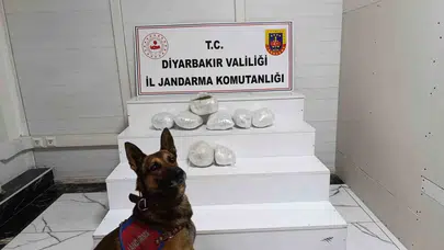 Diyarbakır’da zehir tacirlerine geçit yok: Jandarmadan geniş çaplı şafak operasyonu
